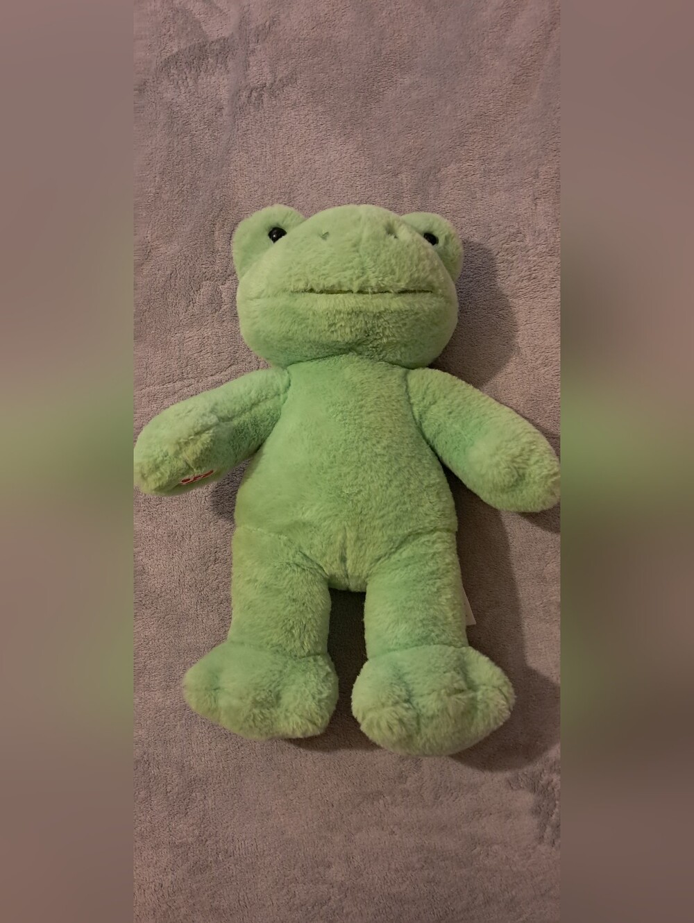Build A Bear Frog